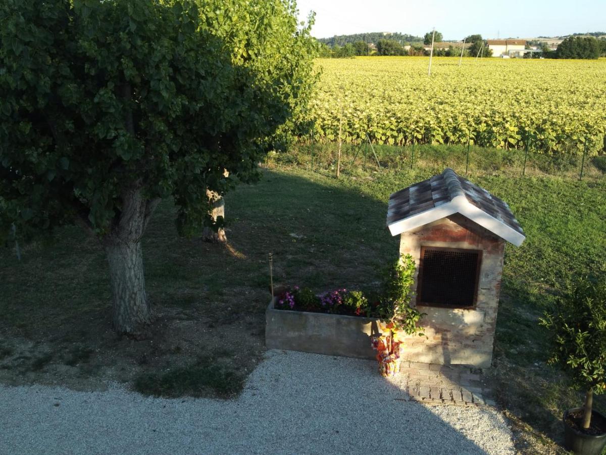 La Dolce Vita Porto Recanati Exterior photo